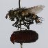  ( - INBIOCRI001405216)  @13 [ ] Unspecified (default): All Rights Reserved  Unspecified Unspecified