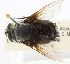  ( - INBIOCRI001780008)  @12 [ ] Unspecified (default): All Rights Reserved  Unspecified Unspecified