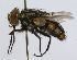  ( - INBIOCRI002124986)  @14 [ ] Unspecified (default): All Rights Reserved  Unspecified Unspecified