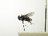  ( - INBIOCRI002328242)  @12 [ ] Unspecified (default): All Rights Reserved  Unspecified Unspecified