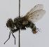  ( - INBIOCRI002405797)  @11 [ ] Unspecified (default): All Rights Reserved  Unspecified Unspecified