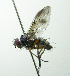  ( - Haber 000834)  @15 [ ] Unspecified (default): All Rights Reserved  Unspecified Unspecified