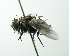  ( - Haber 000845)  @14 [ ] Unspecified (default): All Rights Reserved  Unspecified Unspecified