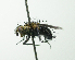  (Jurinia - Haber 000846)  @14 [ ] Unspecified (default): All Rights Reserved  Unspecified Unspecified