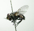  ( - Haber 000860)  @14 [ ] Unspecified (default): All Rights Reserved  Unspecified Unspecified