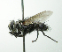  ( - INBIOCRI000335012)  @11 [ ] Unspecified (default): All Rights Reserved  Unspecified Unspecified