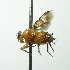  ( - INBIOCRI000374678)  @13 [ ] Unspecified (default): All Rights Reserved  Unspecified Unspecified