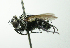  ( - INBIOCRI000565912)  @11 [ ] Unspecified (default): All Rights Reserved  Unspecified Unspecified