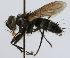  ( - INBIOCRI000838023)  @13 [ ] Unspecified (default): All Rights Reserved  Unspecified Unspecified
