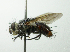  ( - INBIOCRI000860530)  @12 [ ] Unspecified (default): All Rights Reserved  Unspecified Unspecified
