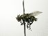  ( - INBIOCRI001192498)  @13 [ ] Unspecified (default): All Rights Reserved  Unspecified Unspecified