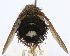  (Epalpus Janzen0785 - INBIOCRI001305048)  @13 [ ] Unspecified (default): All Rights Reserved  Unspecified Unspecified