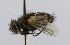  ( - INBIOCRI001383360)  @12 [ ] Unspecified (default): All Rights Reserved  Unspecified Unspecified