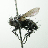  ( - INBIOCRI001396748)  @11 [ ] Unspecified (default): All Rights Reserved  Unspecified Unspecified