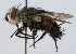  (Deopalpus - INBIOCRI002143813)  @14 [ ] Unspecified (default): All Rights Reserved  Unspecified Unspecified