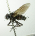  ( - INBIOCRI002197905)  @13 [ ] Unspecified (default): All Rights Reserved  Unspecified Unspecified