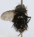  ( - INBIOCRI002200298)  @12 [ ] Unspecified (default): All Rights Reserved  Unspecified Unspecified