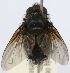  ( - INBIOCRI002399376)  @12 [ ] Unspecified (default): All Rights Reserved  Unspecified Unspecified