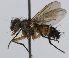  (Neomintho Janzen3174 - INBIOCRI002415431)  @12 [ ] Unspecified (default): All Rights Reserved  Unspecified Unspecified