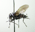  (Ebenia Malaise0138 - INBIOCRI002457845)  @13 [ ] Unspecified (default): All Rights Reserved  Unspecified Unspecified