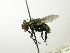  ( - INBIOCRI002475890)  @13 [ ] Unspecified (default): All Rights Reserved  Unspecified Unspecified