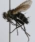  ( - INBIOCRI002479153)  @13 [ ] Unspecified (default): All Rights Reserved  Unspecified Unspecified
