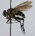  (Lixophaga Wood09 - INBIOCRI002496945)  @12 [ ] Unspecified (default): All Rights Reserved  Unspecified Unspecified