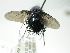  (Epalpus Janzen4270 - INBIOCRI002537674)  @13 [ ] Unspecified (default): All Rights Reserved  Unspecified Unspecified