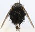  (Jurinella Wood06 - INBIOCRI002563900)  @13 [ ] Unspecified (default): All Rights Reserved  Unspecified Unspecified