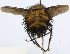  ( - INBIOCRI002566050)  @13 [ ] Unspecified (default): All Rights Reserved  Unspecified Unspecified