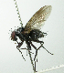  (Ebenia Janzen6098 - INBIOCRI002567782)  @15 [ ] Unspecified (default): All Rights Reserved  Unspecified Unspecified