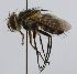  (Telothyria relicta - inb0003053532)  @14 [ ] Unspecified (default): All Rights Reserved  Unspecified Unspecified