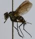  (Pseudoviviania - inb0003162339)  @12 [ ] Unspecified (default): All Rights Reserved  Unspecified Unspecified