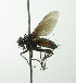  ( - inb0003301917)  @11 [ ] Unspecified (default): All Rights Reserved  Unspecified Unspecified
