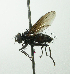  (Ebenia Janzen9700 - inb0003305367)  @14 [ ] Unspecified (default): All Rights Reserved  Unspecified Unspecified