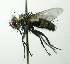  ( - inb0003321196)  @14 [ ] Unspecified (default): All Rights Reserved  Unspecified Unspecified