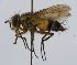  (Telothyria Malaise1325 - inb0003329404)  @13 [ ] Unspecified (default): All Rights Reserved  Unspecified Unspecified