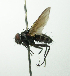  ( - inb0003365979)  @14 [ ] Unspecified (default): All Rights Reserved  Unspecified Unspecified