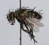  ( - inb0003702226)  @14 [ ] Unspecified (default): All Rights Reserved  Unspecified Unspecified