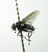  ( - inb0003788919)  @11 [ ] Unspecified (default): All Rights Reserved  Unspecified Unspecified