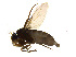  ( - BIOUG14573-F03)  @13 [ ] CreativeCommons - Attribution Non-Commercial Share-Alike (2011) M. Alex Smith University of Guelph