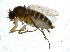  ( - BIOUG14573-F05)  @14 [ ] CreativeCommons - Attribution Non-Commercial Share-Alike (2011) M. Alex Smith University of Guelph