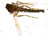  ( - BIOUG14573-F08)  @12 [ ] CreativeCommons - Attribution Non-Commercial Share-Alike (2011) M. Alex Smith University of Guelph