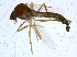  ( - BIOUG14573-F09)  @13 [ ] CreativeCommons - Attribution Non-Commercial Share-Alike (2011) M. Alex Smith University of Guelph