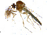  ( - BIOUG14573-G02)  @13 [ ] CreativeCommons - Attribution Non-Commercial Share-Alike (2011) M. Alex Smith University of Guelph