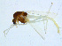  ( - BIOUG14574-A04)  @13 [ ] CreativeCommons - Attribution Non-Commercial Share-Alike (2011) M. Alex Smith University of Guelph