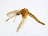  ( - BIOUG14574-C09)  @13 [ ] CreativeCommons - Attribution Non-Commercial Share-Alike (2011) M. Alex Smith University of Guelph