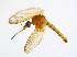  ( - BIOUG14574-C11)  @13 [ ] CreativeCommons - Attribution Non-Commercial Share-Alike (2011) M. Alex Smith University of Guelph
