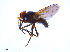  ( - BIOUG14574-H01)  @14 [ ] CreativeCommons - Attribution Non-Commercial Share-Alike (2011) M. Alex Smith University of Guelph