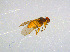  ( - BIOUG14574-H04)  @12 [ ] CreativeCommons - Attribution Non-Commercial Share-Alike (2011) M. Alex Smith University of Guelph